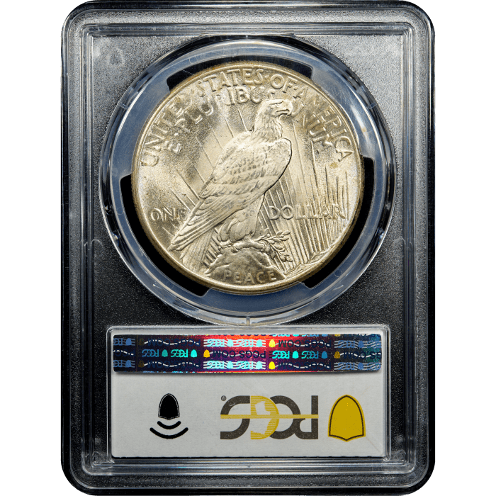 1925 Peace Dollar ($1) SLAB Image