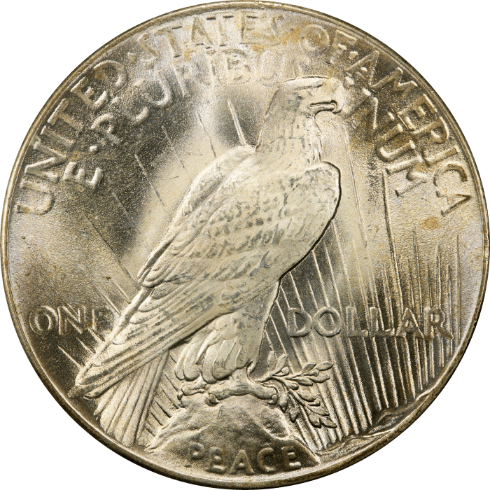 1925 Peace Dollar ($1) REVERSE Image