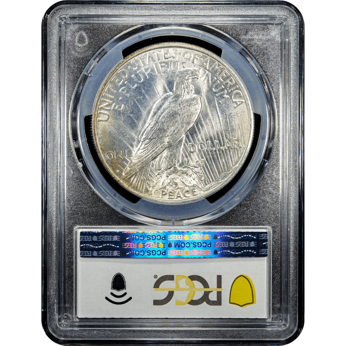 1927-D Peace Dollar ($1) Reverse Slab Image