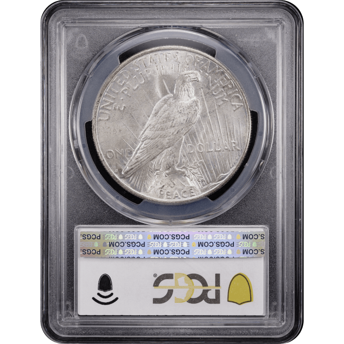 1927-D Peace Dollar ($1) Reverse Slab Image