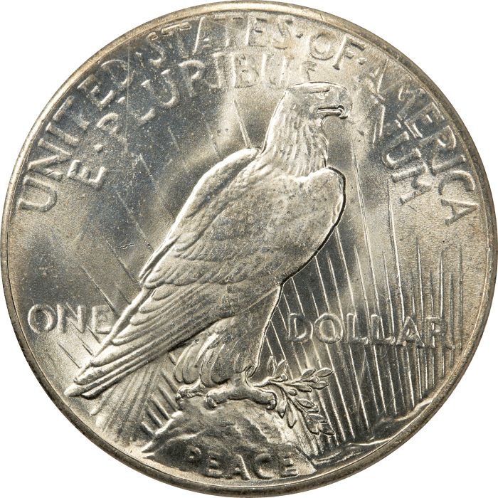1928 Peace Dollar ($1) REVERSE Image