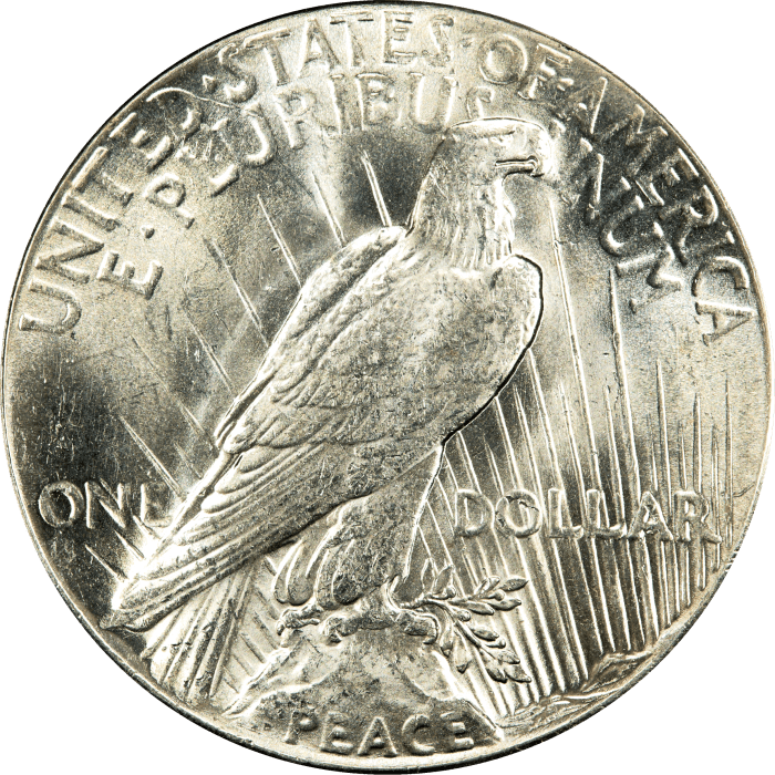 1928 Peace Dollar ($1) Reverse Image