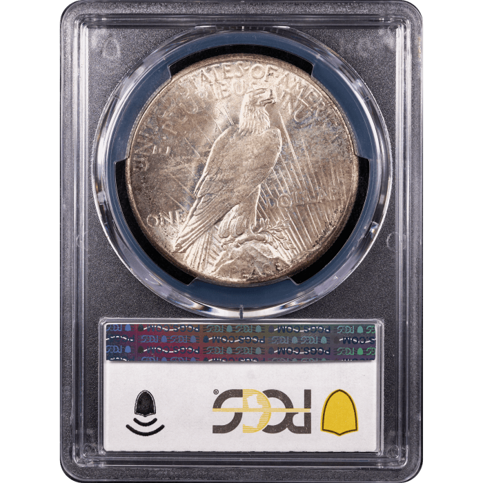 1928 Peace Dollar ($1) Reverse Slab Image