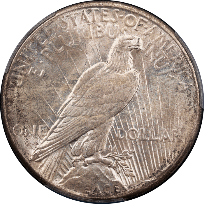 1928 Peace Dollar ($1) Reverse Image