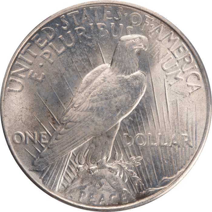 1934 Peace Dollar ($1) REVERSE Image