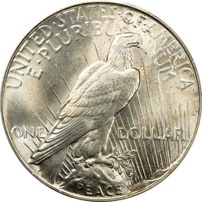 1934 Peace Dollar ($1) REVERSE Image