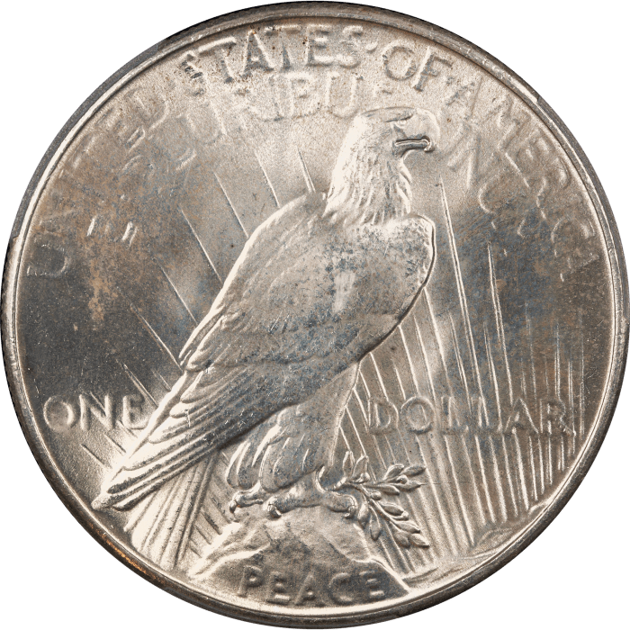 1935 Peace Dollar ($1) Reverse Image