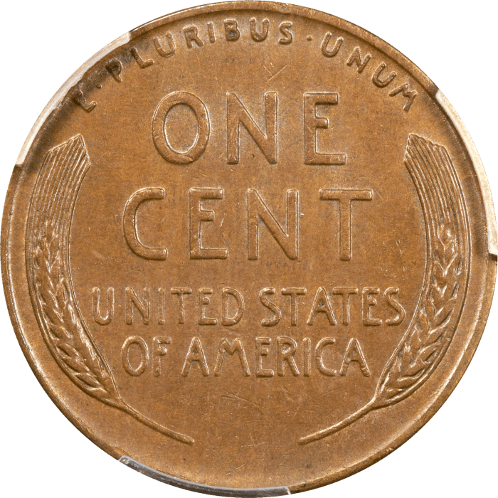 1955 Doubled Die Lincoln Cent (1c) REVERSE Image