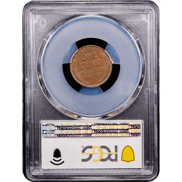 1955 Doubled Die Lincoln Cent (1c) Reverse Slab Image