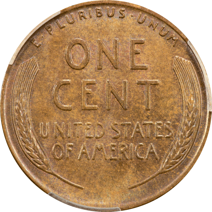 1955 Doubled Die Lincoln Cent (1c) Reverse Image
