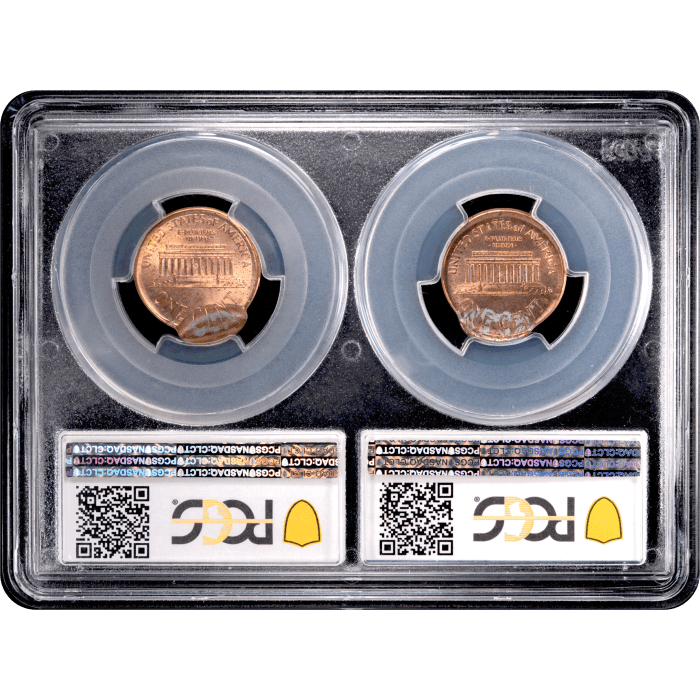2000 Lincoln Cent (1c) Error - Mated Pair Reverse Slab Image