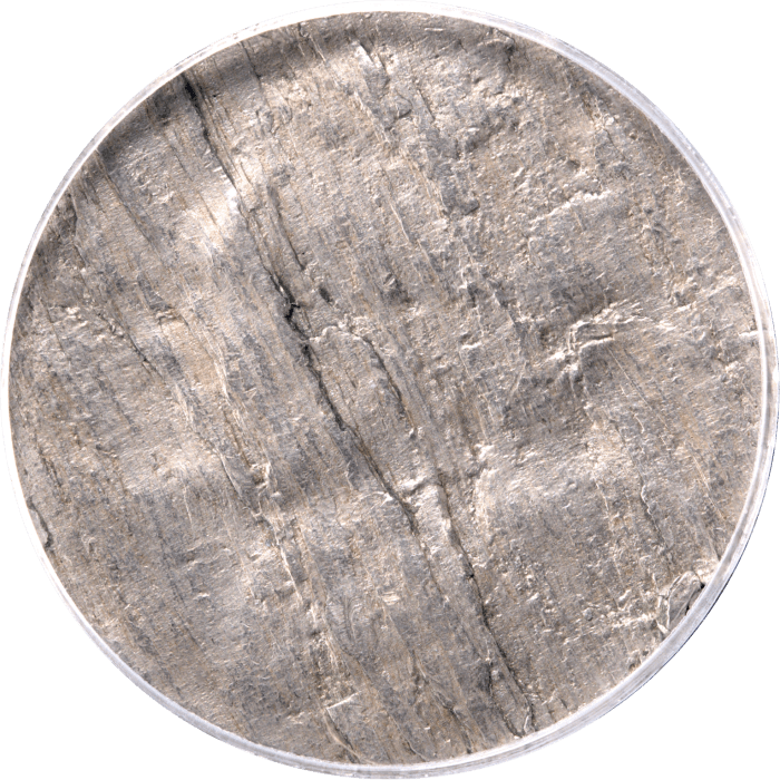No Date Jefferson Nickel (5c) Error - Struck on Spilt Planchet Obverse Image