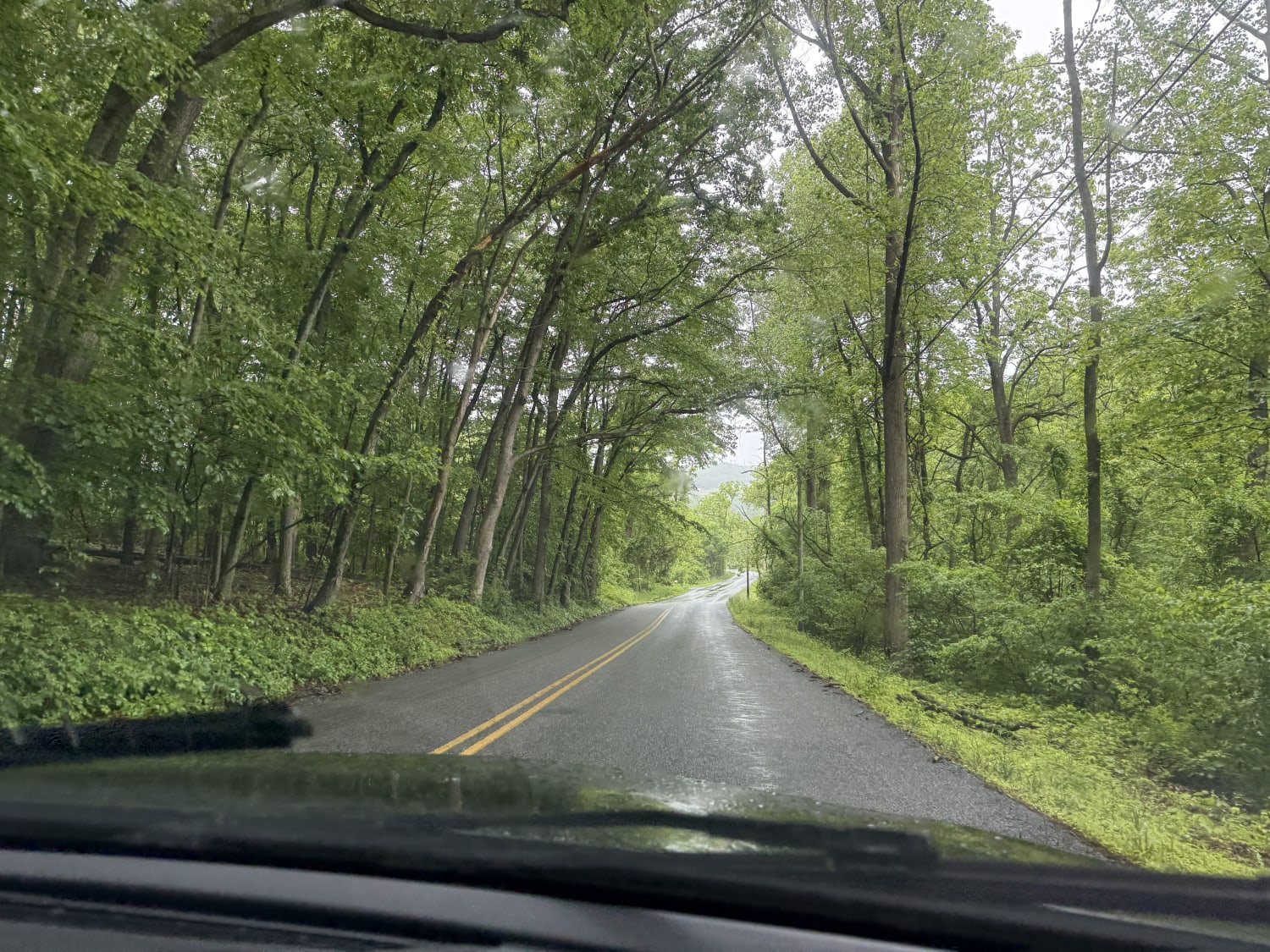 Rainy drive from Owen's