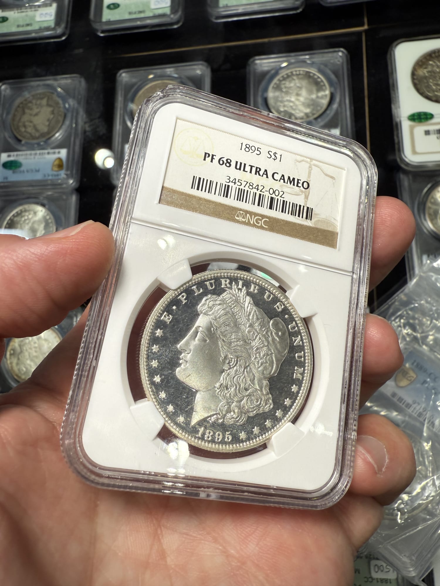 Ultra high-grade 1895 Morgan Dollar sighting