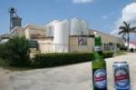 The Cayman Islands Brewery Ltd.