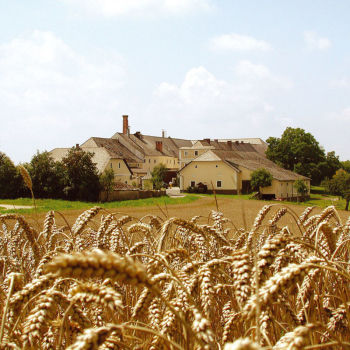 Brauerei Hofstetten