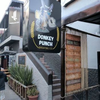 Donkey Punch Brewing Company