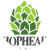 Hophead Brewing, Cluj-Napoca