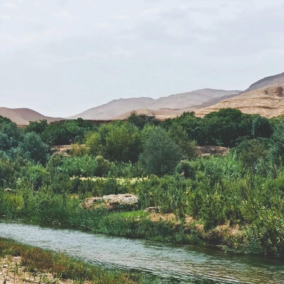 WhatsApp Image 2025-05-29 at 20