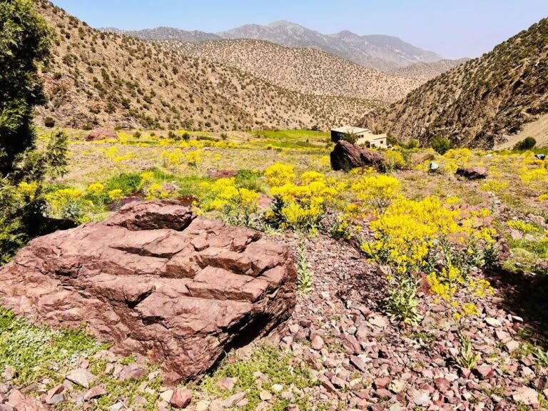 14-trek-Berber-villages-in-Moroccan-high-atlas-mountains-768x576