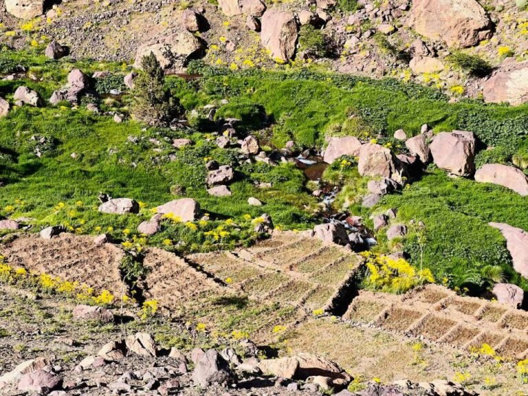 17-trek-Berber-villages-in-Moroccan-high-atlas-mountains-1-768x576