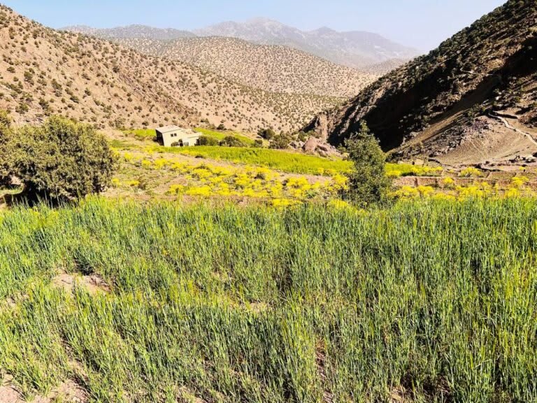 17-trek-Berber-villages-in-Moroccan-high-atlas-mountains-768x576