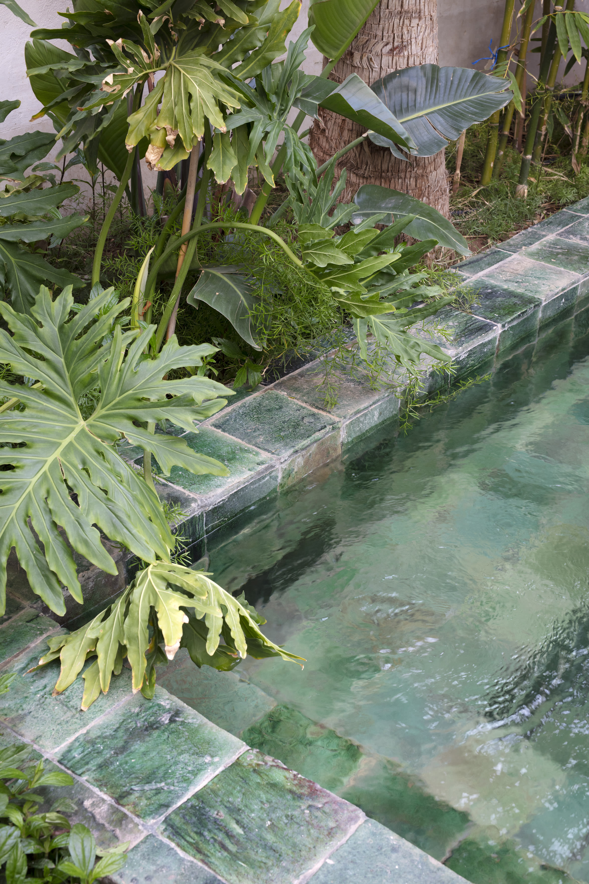 Yoga Retreat Marrakech – 3 Days of Mindfulness & Moroccan Culture