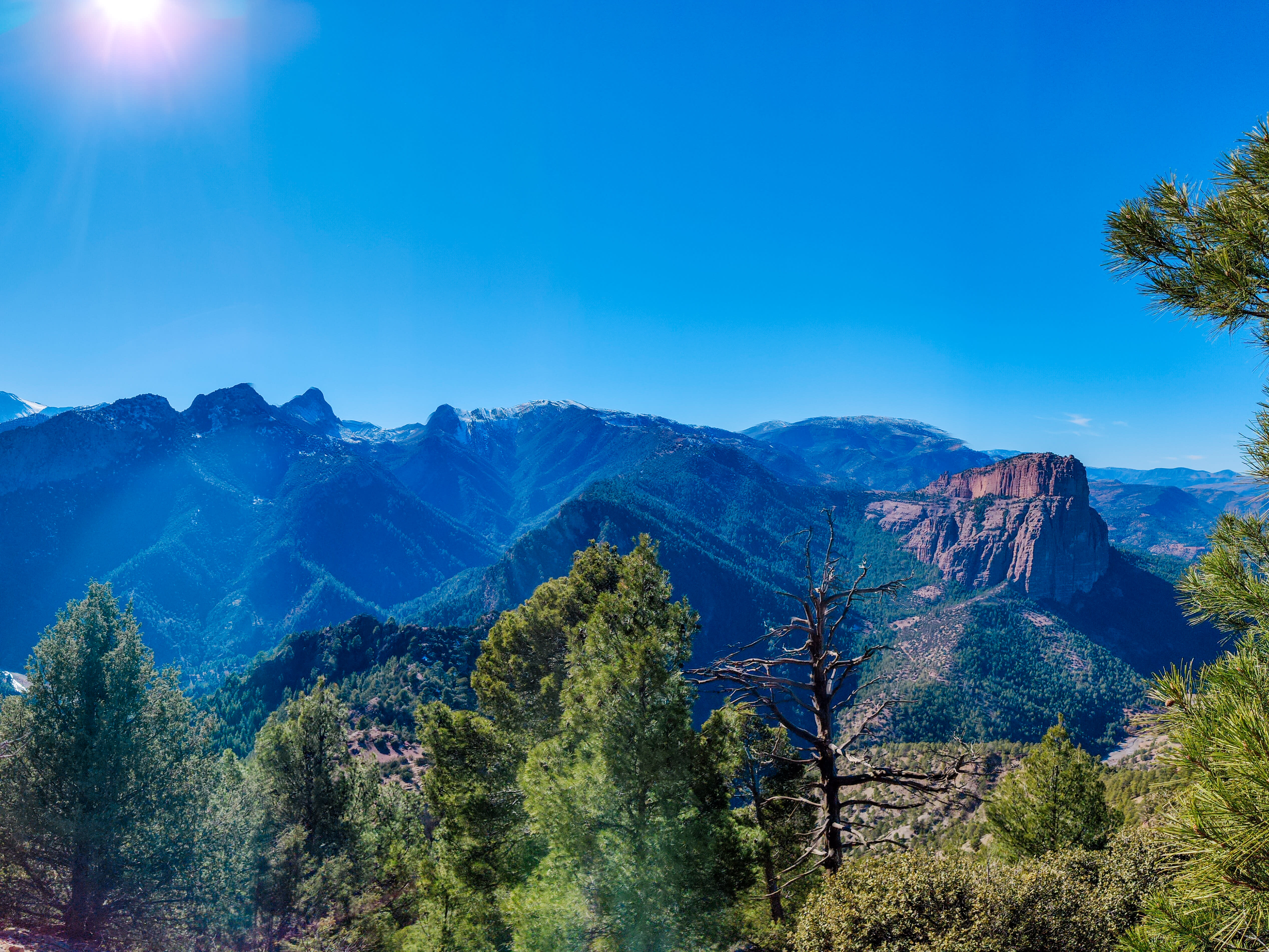 42C1D531-8A54-4D22-B1EE-D43282CF9A6F