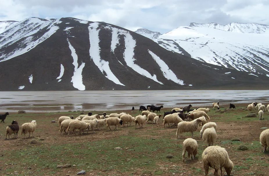 file-20210902-15-ci1c07