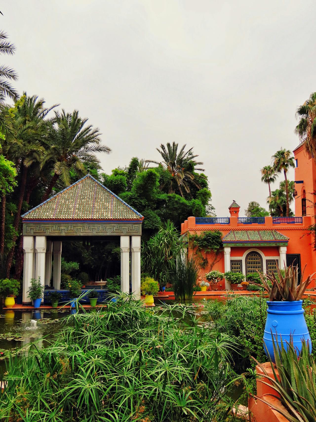 Wellness Journey: 8 Days of Moroccan Restoration