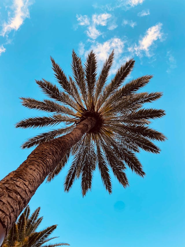 Moroccan Cuisine: A 12-Day Culinary Expedition