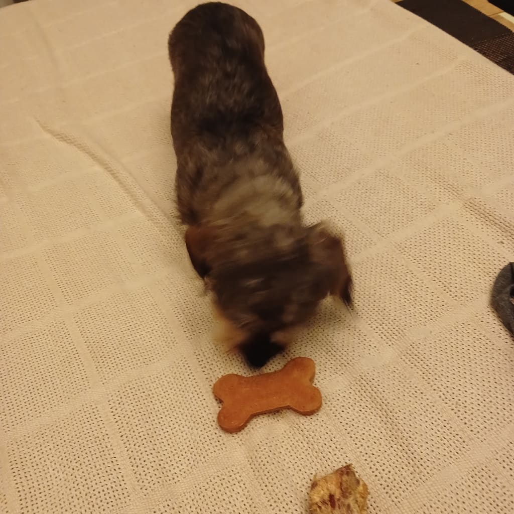 Treats