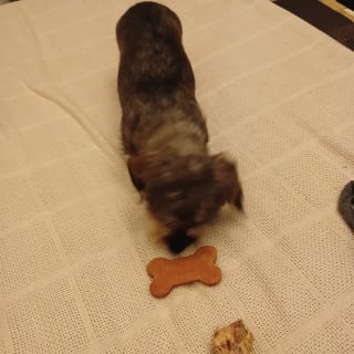 Treats