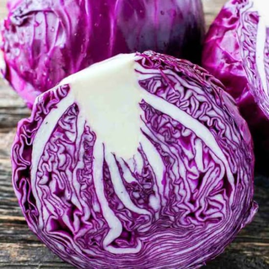 Purple cabbage