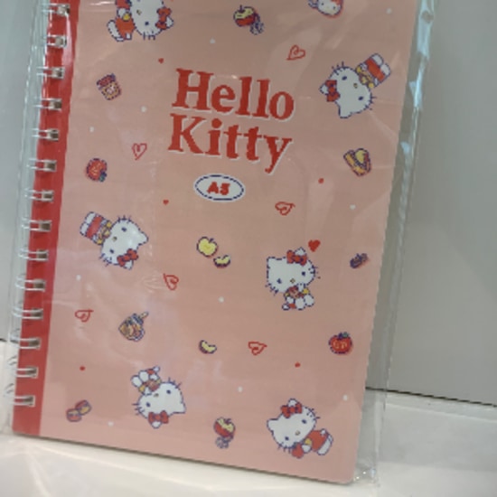 Hello kitty retro collection A5PP wire-bound book