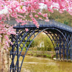 Webサイトを開設しました