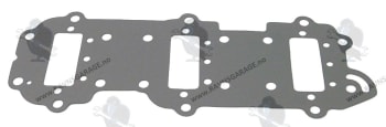 Intake Manifold Gasket (Johnson/E.)