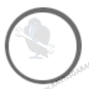O-Ring (Johnson/Evinrude)