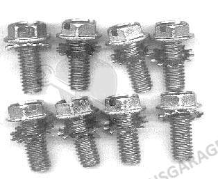 Lower Bearing Cap Bolts