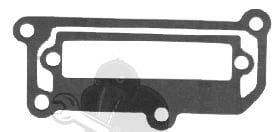 Gasket, Carb Adapter