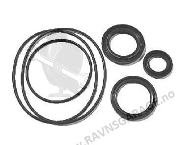 Seal Kit, Crankshaft