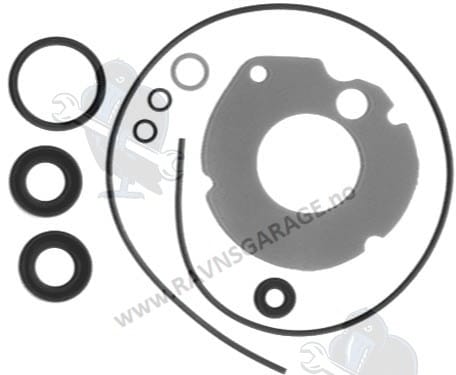 Lower Unit Seal Kit (Johnson/Evinrude)