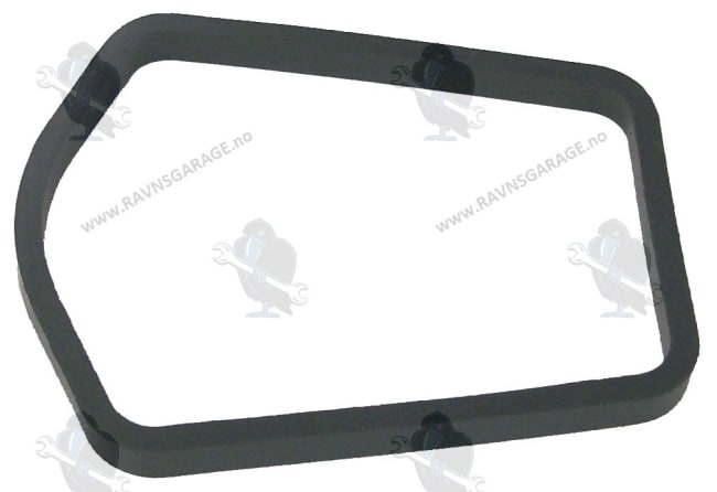 Eksostetning til Johnson/Evinrude, Erst: 320961