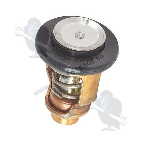 THERMOSTAT (C 71)