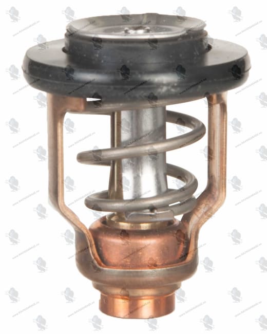 Termostat til Suzuki 70-300Hk, Yamaha F75-F250