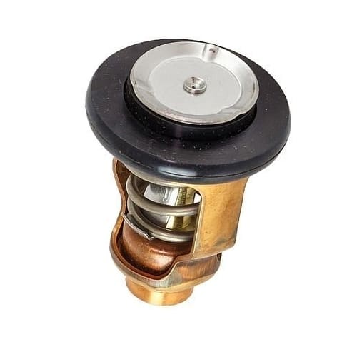 THERMOSTAT (C 71)