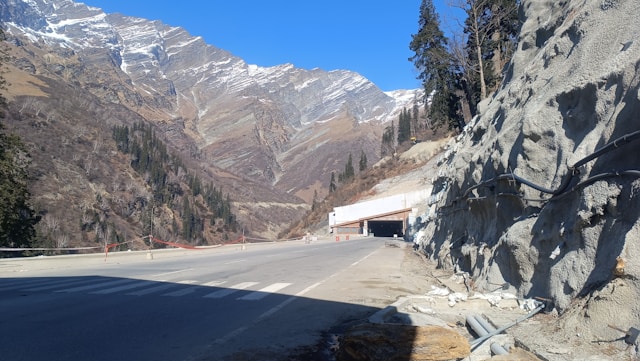 Snow covered pine trees near Rohtang Pass