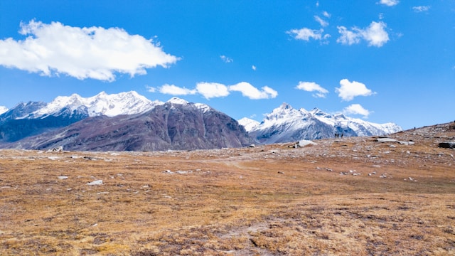 Glaciers and meadows at Rohtang Pass