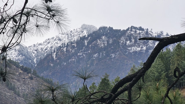 Scenic wooden houses in Tirthan Valley