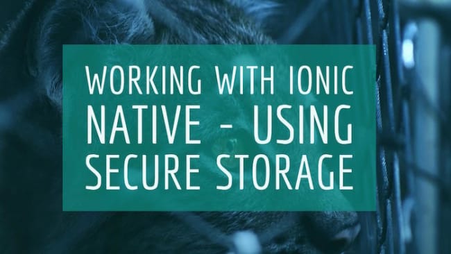 Working with Ionic Native - Using Secure Storage